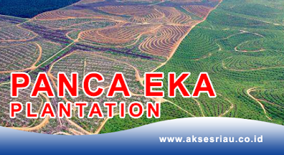 PT Panca Eka Plantation Pekanbaru