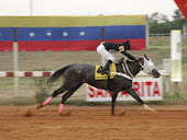 Paraguaná Woman: quinta triplecoronada zuliana