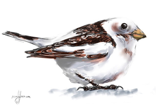 Snow bunting Bird painting by Artmagenta