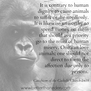 animals catholics believe don know there