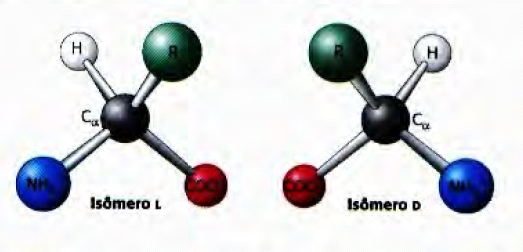 isomero aminoacido estrutura