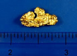 Josephine County Gold Nugget