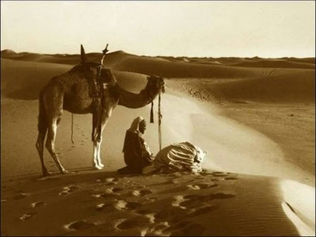 Hati-hati!! Benci Arab Maka Anda Benci Rasulullah Hati-hati!! Benci Arab Maka Anda Benci Rasulullah