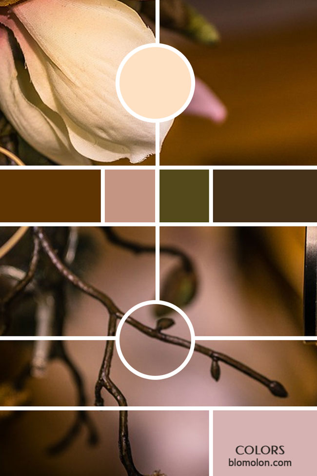 variedad en color moodboards 5 variedad_en_color_moodboards_5