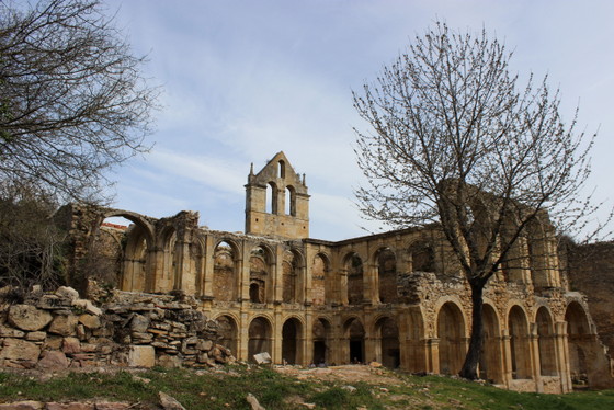 monasterio_imagen_rioseco_burgos_ruinas_valle_manzanedo_cister_arcos