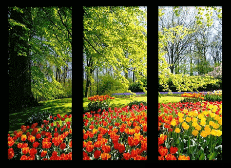 Primavera-77394.gif