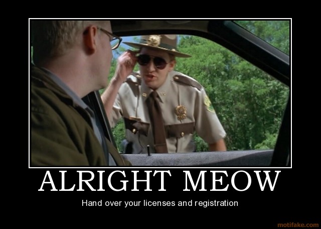 alright-meow-super-troopers-demotivational-poster-1236654297.jpg