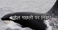 essay on whale in Hindi व्हेल मछली पर निबंध
