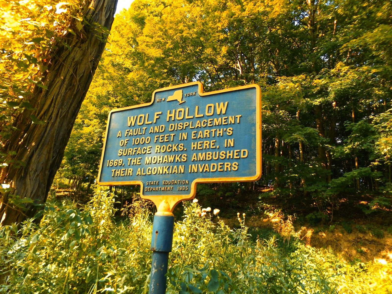 Walking Man 24 7: Wolf Hollow(Mohawk Valley)