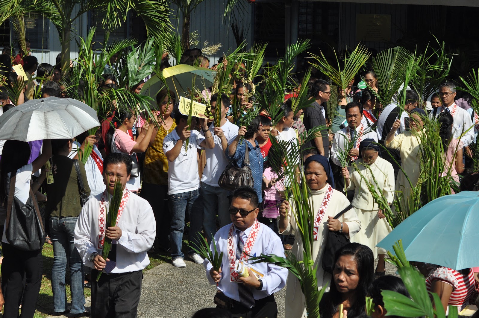 NEWS UPDATE ~ Diocese of Sandakan: MINGGU PALMA MULANYA MINGGU SUCI