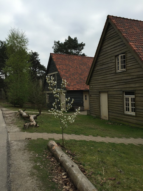 die wunderschönen häuser im ferienpark