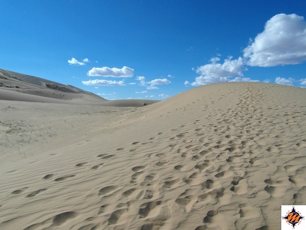 Deserto del Gobi. Khongoryn Els Deserto del Gobi. Khongoryn Els