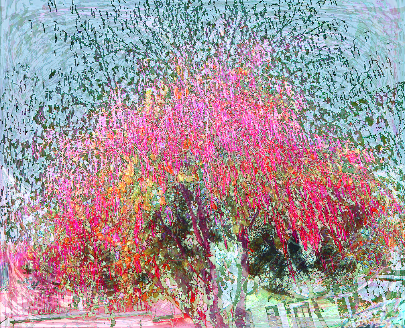 Arq. Myriam Mahiques´art Trees in Long Beach. Árboles en Long Beach