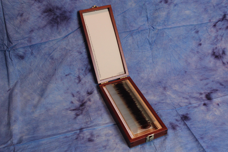 The Project Workbench Dexter Props Kill Knife Blood Slide Box