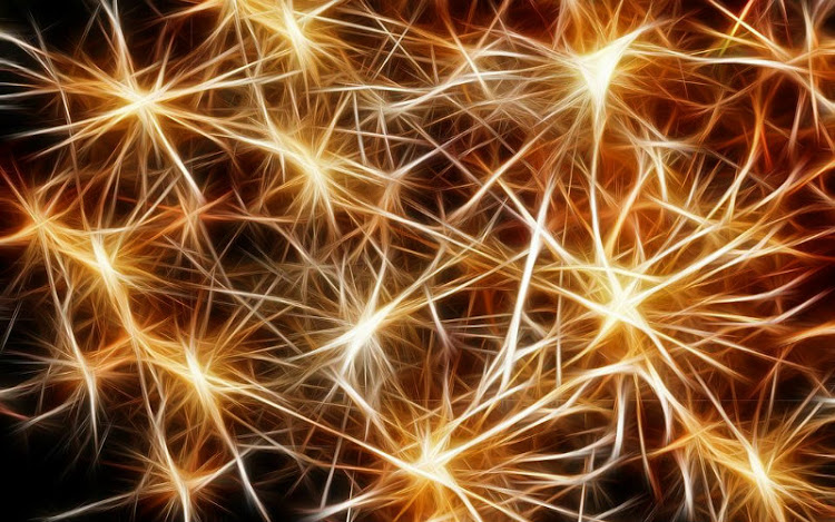 Neuroquímica Neuroquímica