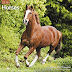 Get Result 2018 Horses Wall Calendar (Mead) Ebook by Mead (Calendar)