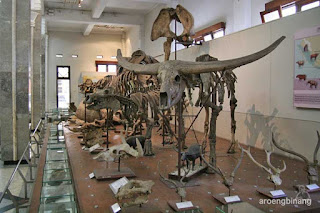 museum geologi bandung
