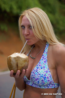 The Officially Licensed Naked Cowgirl "FOX": Naked Cowgirl Updates