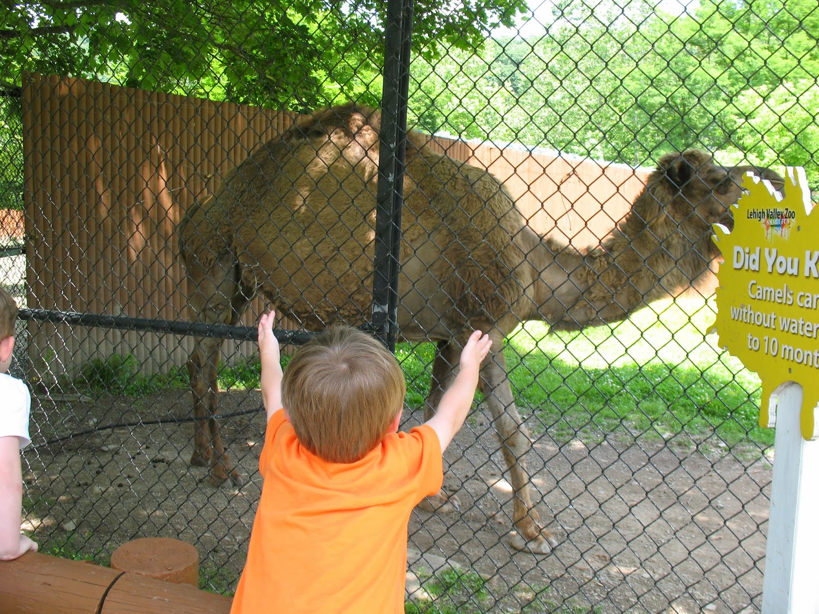 The Jersey Momma: A Review of the Lehigh Valley Zoo - Let&#39;s Go!
