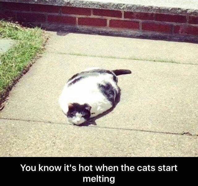 daily timewaster Heh. Temperature here yesterday 105 degrees