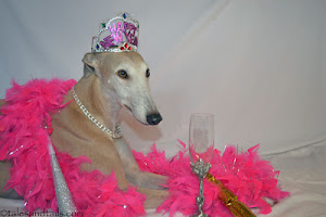 Working Stiffs Judge Bunny