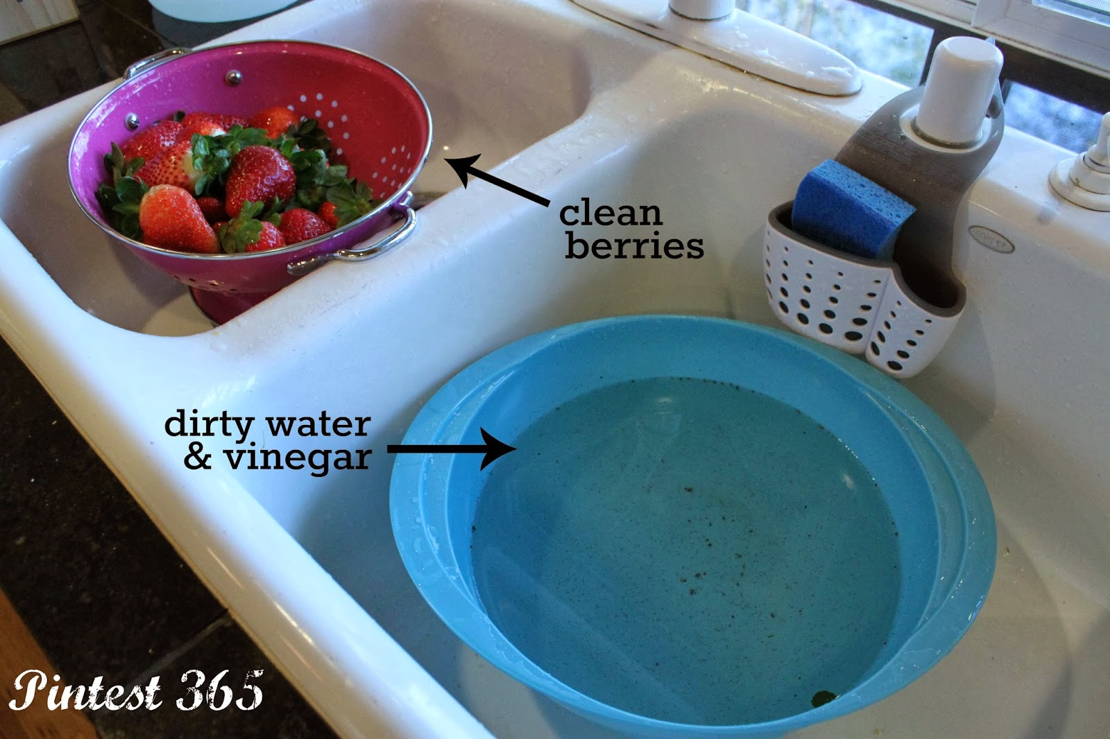 Pintest 365. Day 5 Vinegar & Water Soak for Fruit (success).