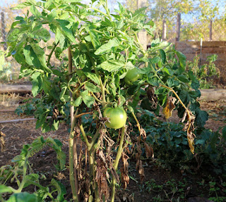 Still producing Still producing