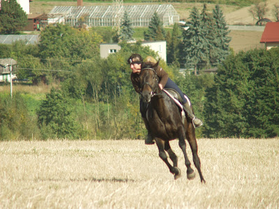 Konie, jazda konna, Hubertus 2015, pensjonat dla koni w Węgrzcach, pogoń za lisem