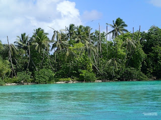 Librarian on Palmyra Atoll: One more building, one more pet, and one ...