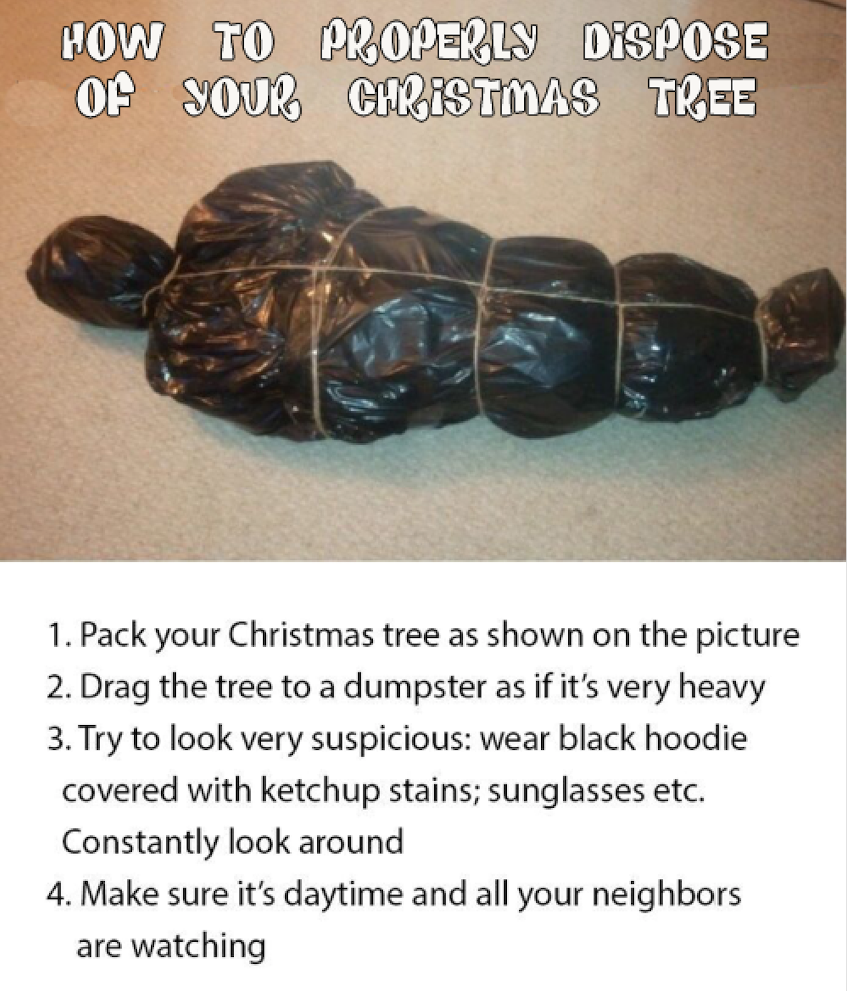 Skip's House of Chaos How to Properly Dispose of Your Christmas Tree