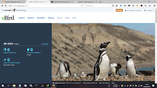eBird.org situs eBird.org