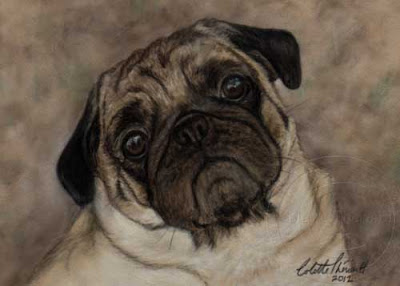 Pug Portrait Painting in Pastel by Animal and Pet Artist Colette Theriault
