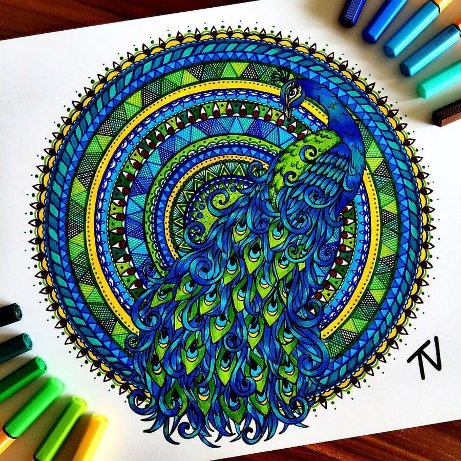 11-Peacock-Nigar-Tahmazova-Color-Plus-B&W-Animal-Ink-Drawings-www-designstack-co