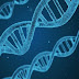 Scientists Discover How Antiviral Gene Works