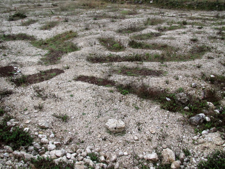 natura grezza: Il Tumulo di Corvaro