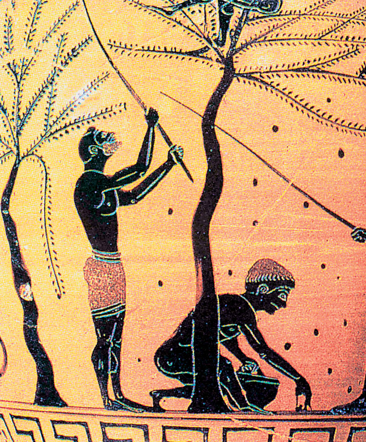 финикия мозайка фрески. древняя греция рабовладельческий. древние греки добывали. ремесло в древней греции. железный век древней греции.