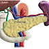 Pancreas Natural Approach to Health