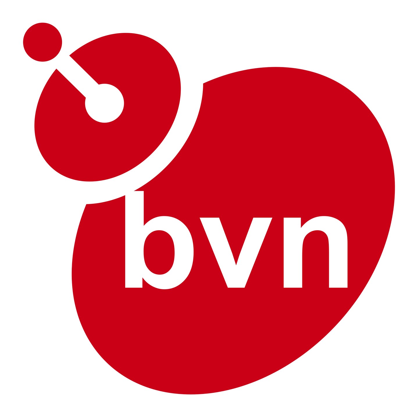 Bvn. Bvn logo. 4 вт. Bvn. телеканал нидерландов.