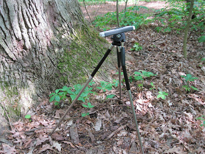 iphone on tripod in the woods