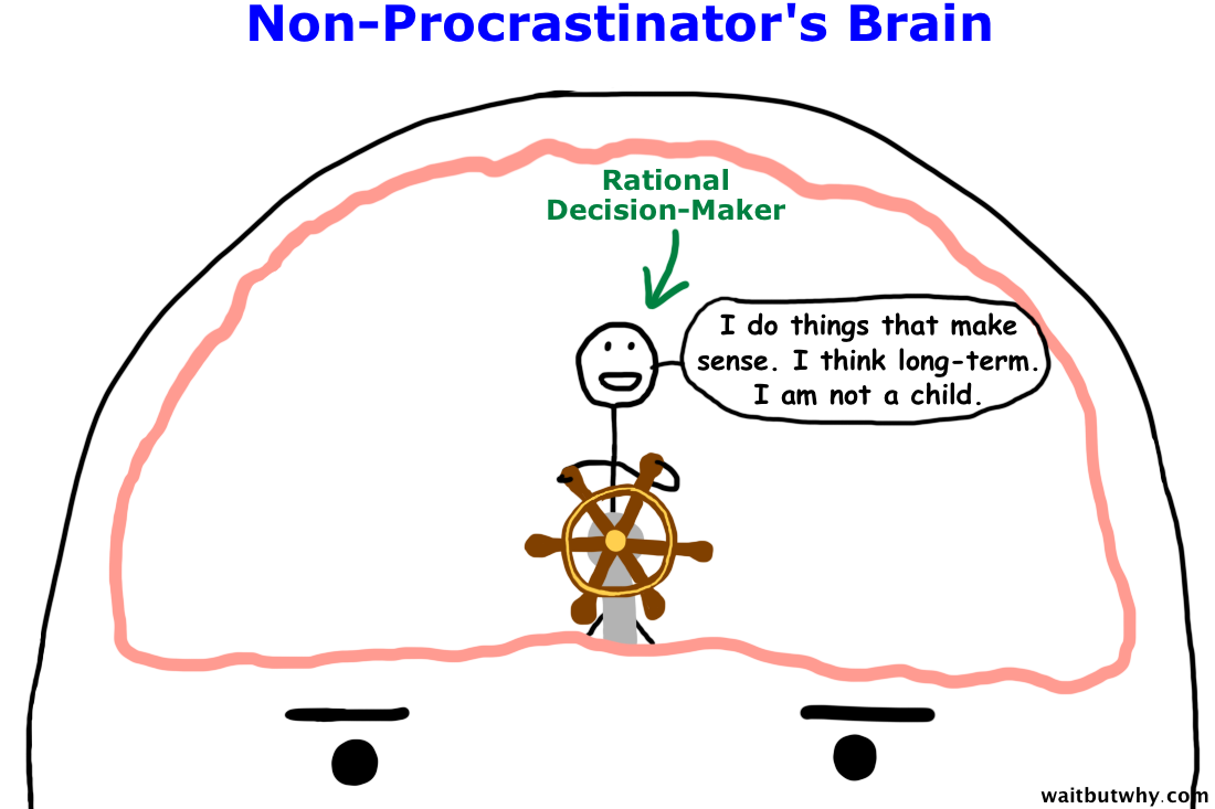 Why Procrastinators Procrastinate — Wait But Why