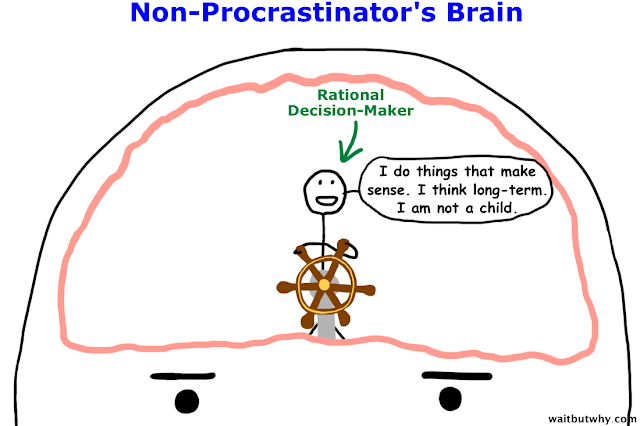 Unlocking the Allure of Procrastinators: Unraveling the Mysterious World of Delayed Action插图