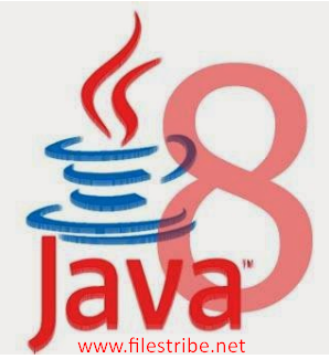 Java 8 Latest Update 91 Offline Installer Free Download