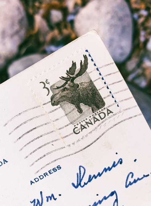 Vintage Castle Mountain Postcard Banff Alberta