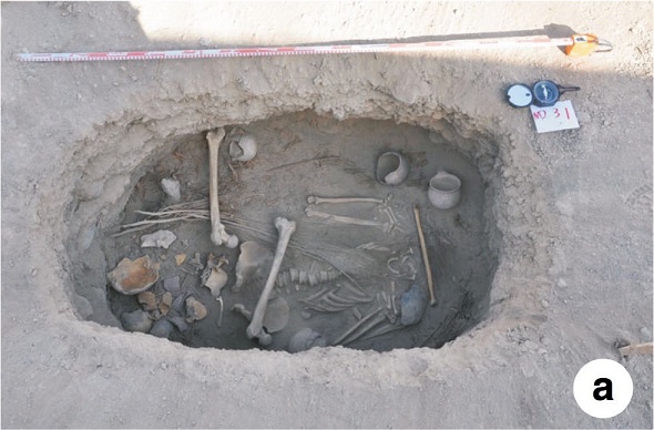 Une tombe vieille de 2 500 ans révèle une ancienne utilisation du cannabis