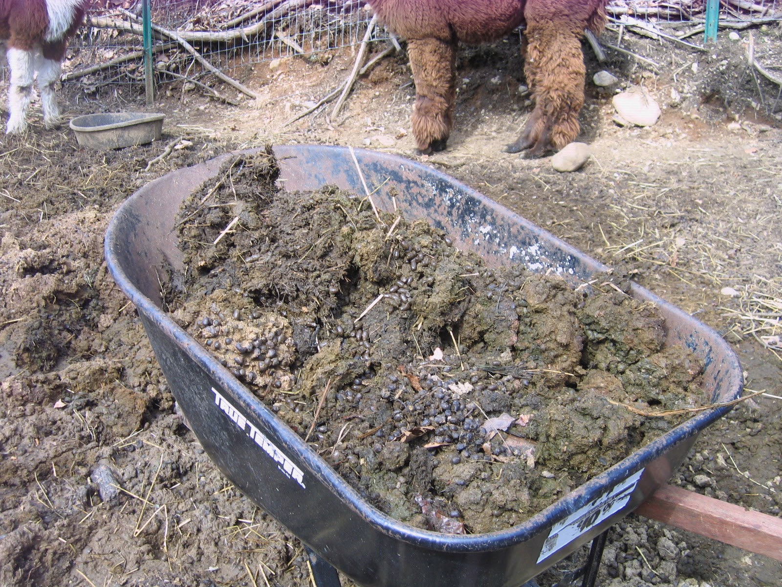 Coon Hollow Farm Free Manure!