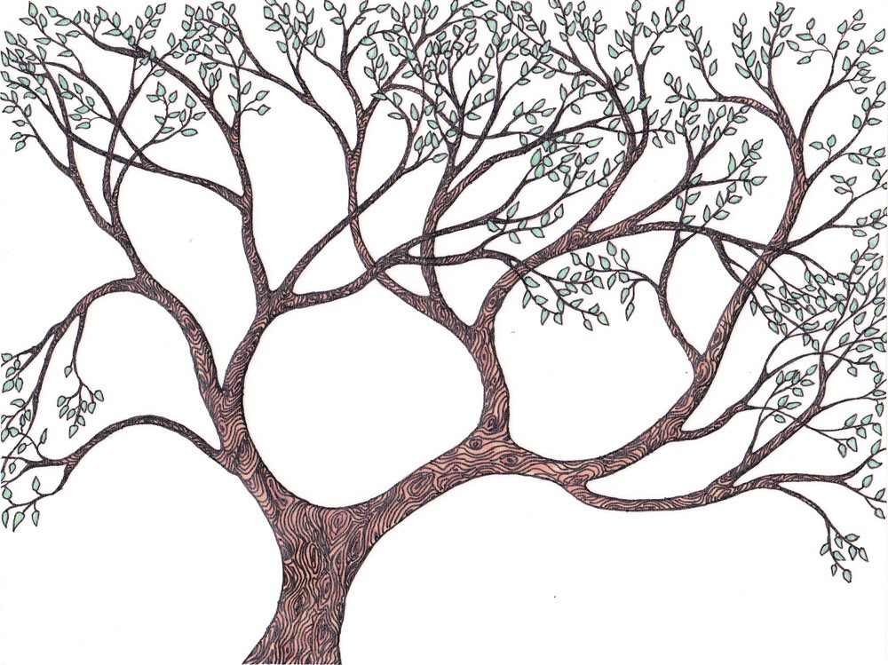 Sebenta Layers with Transparencies and Vellum