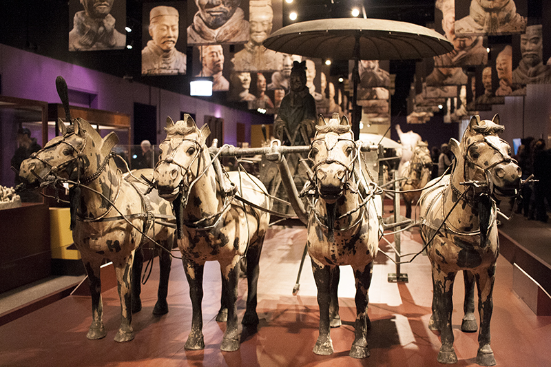 Terracotta Soldiers, Field Museum