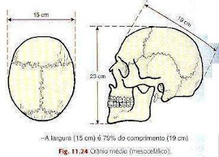 Sintonize na Radiologia: Seios da Face e Cranio