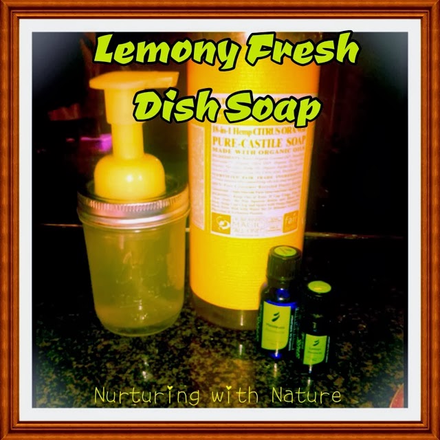 Nurturing with Nature Lemony Fresh Dish Soap