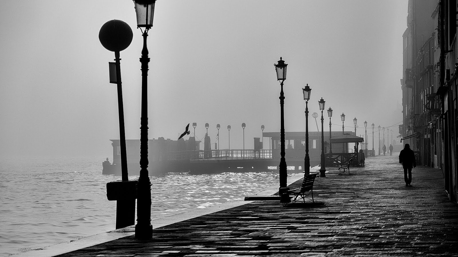 Royalty Free Black And White Photos White Choices